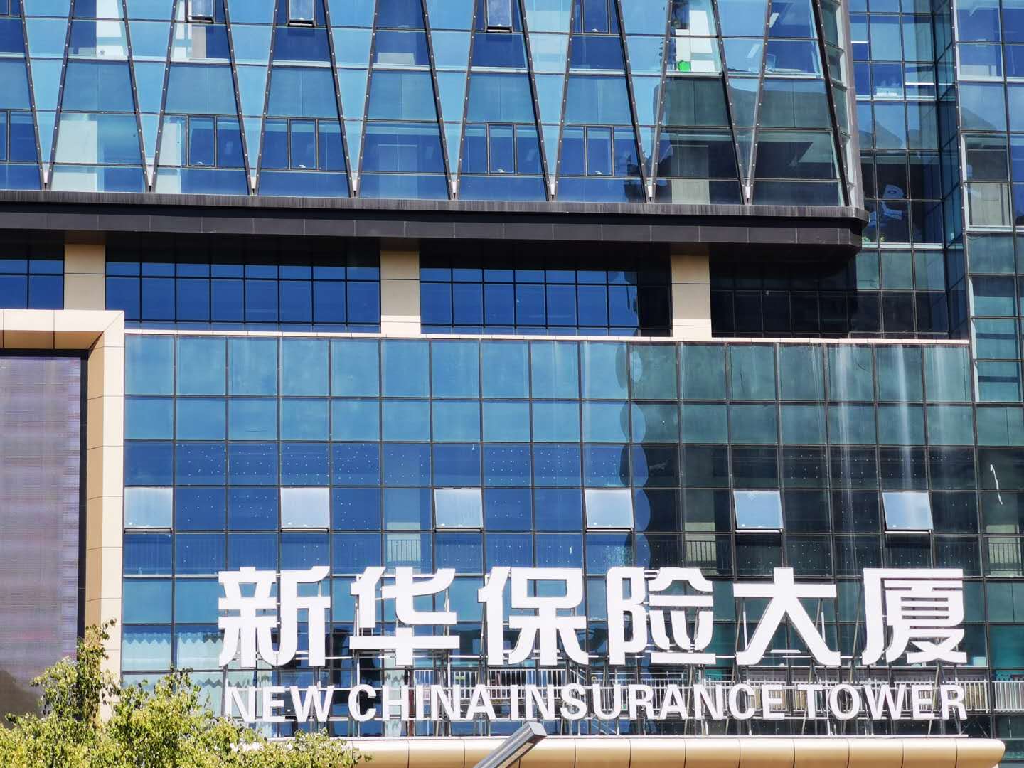 新华保险董事长刘浩凌因工作原因辞任(图1)